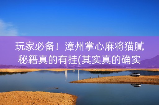 玩家必备！漳州掌心麻将猫腻秘籍真的有挂(其实真的确实有挂)