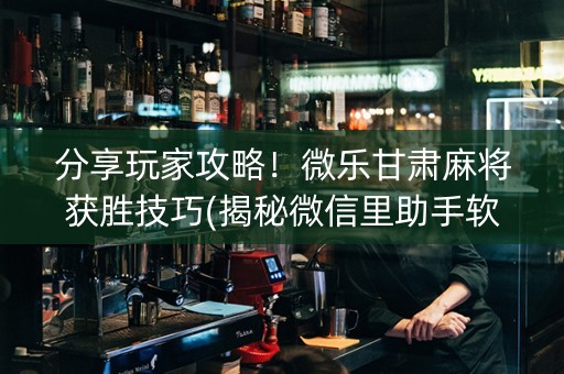 分享玩家攻略！微乐甘肃麻将获胜技巧(揭秘微信里助手软件)