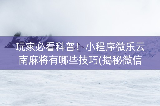 玩家必看科普！小程序微乐云南麻将有哪些技巧(揭秘微信里提高胜率)