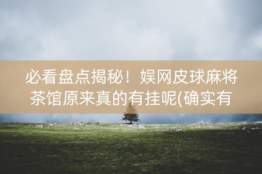 必看盘点揭秘！娱网皮球麻将茶馆原来真的有挂呢(确实有挂)