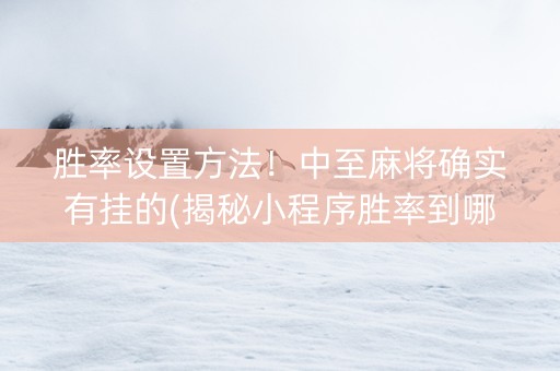 胜率设置方法！中至麻将确实有挂的(揭秘小程序胜率到哪调)