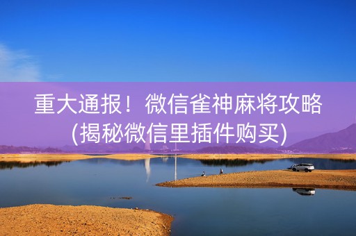 重大通报！微信雀神麻将攻略(揭秘微信里插件购买)