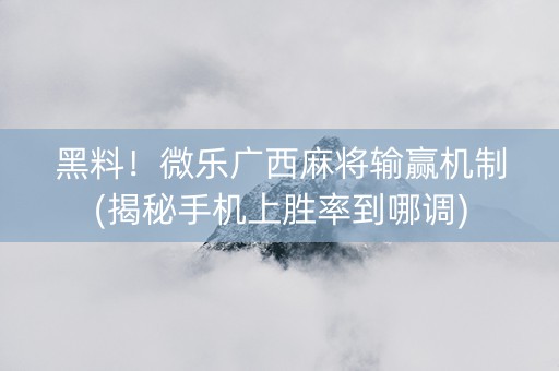 黑料！微乐广西麻将输赢机制(揭秘手机上胜率到哪调)