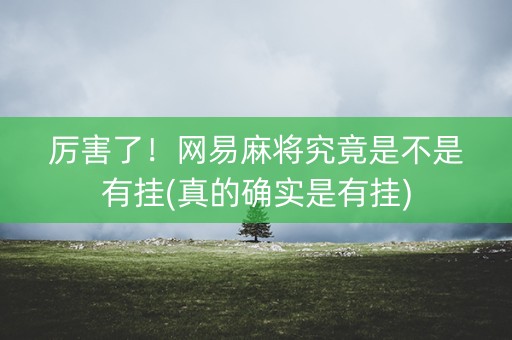 厉害了！网易麻将究竟是不是有挂(真的确实是有挂)