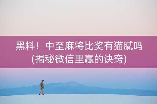 黑料！中至麻将比奖有猫腻吗(揭秘微信里赢的诀窍)