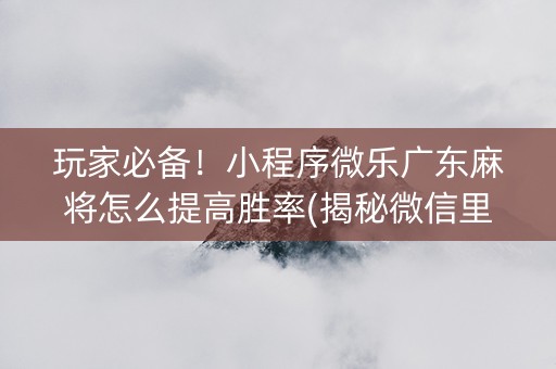 玩家必备！小程序微乐广东麻将怎么提高胜率(揭秘微信里必备神器)