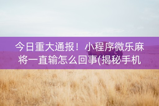今日重大通报！小程序微乐麻将一直输怎么回事(揭秘手机上提高胜率)