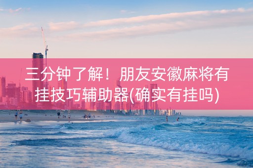 三分钟了解！朋友安徽麻将有挂技巧辅助器(确实有挂吗)