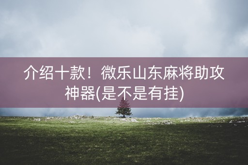 介绍十款！微乐山东麻将助攻神器(是不是有挂)