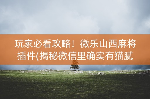 玩家必看攻略！微乐山西麻将插件(揭秘微信里确实有猫腻)