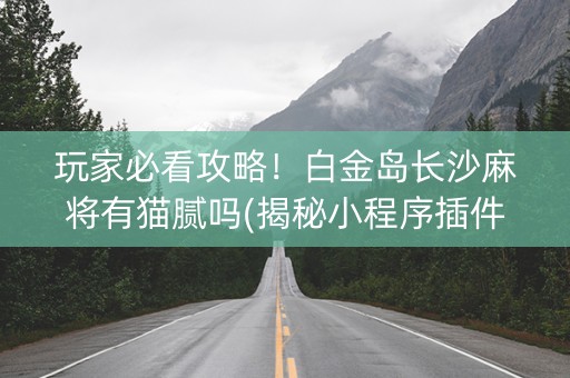 玩家必看攻略！白金岛长沙麻将有猫腻吗(揭秘小程序插件免费)