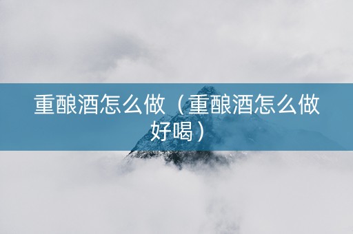 重酿酒怎么做（重酿酒怎么做好喝）