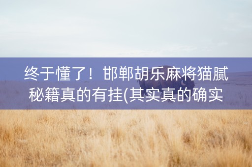 终于懂了！邯郸胡乐麻将猫腻秘籍真的有挂(其实真的确实有挂)