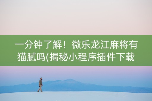 一分钟了解！微乐龙江麻将有猫腻吗(揭秘小程序插件下载)