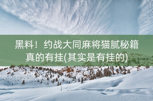 黑料！约战大同麻将猫腻秘籍真的有挂(其实是有挂的)