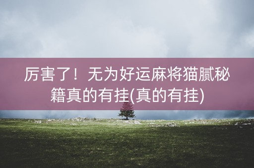 厉害了！无为好运麻将猫腻秘籍真的有挂(真的有挂)