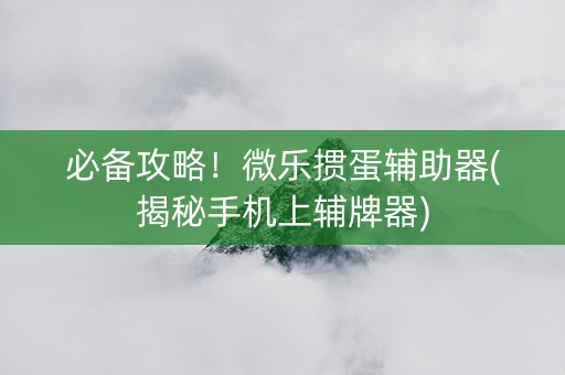必备攻略！微乐掼蛋辅助器(揭秘手机上辅牌器)