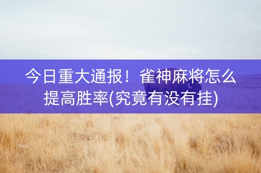 今日重大通报！雀神麻将怎么提高胜率(究竟有没有挂)