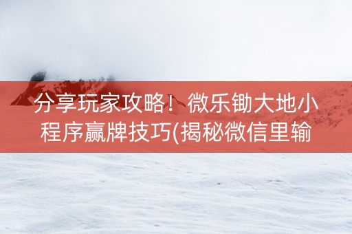 分享玩家攻略！微乐锄大地小程序赢牌技巧(揭秘微信里输赢规律)