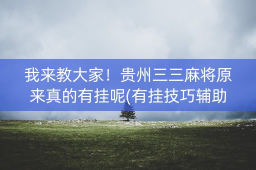 我来教大家！贵州三三麻将原来真的有挂呢(有挂技巧辅助器)