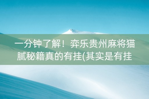 一分钟了解！弈乐贵州麻将猫腻秘籍真的有挂(其实是有挂的)