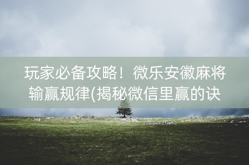 玩家必备攻略！微乐安徽麻将输赢规律(揭秘微信里赢的诀窍)