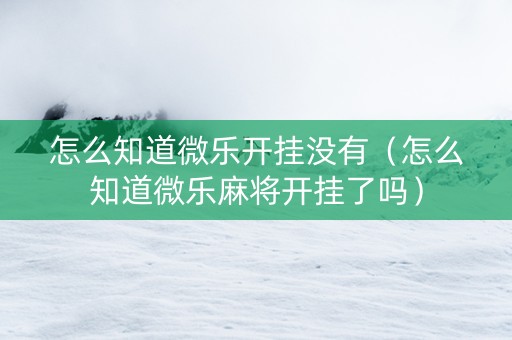 怎么知道微乐开挂没有（怎么知道微乐麻将开挂了吗）