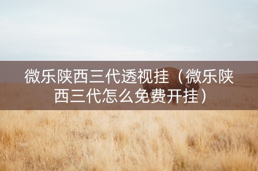 微乐陕西三代透视挂（微乐陕西三代怎么免费开挂）