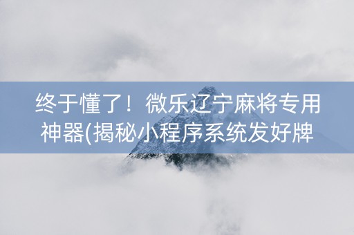 终于懂了！微乐辽宁麻将专用神器(揭秘小程序系统发好牌)