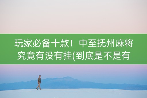 玩家必备十款！中至抚州麻将究竟有没有挂(到底是不是有挂)
