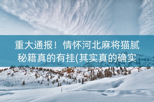重大通报！情怀河北麻将猫腻秘籍真的有挂(其实真的确实有挂)