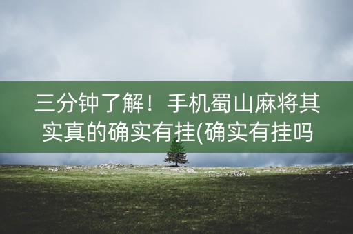 三分钟了解！手机蜀山麻将其实真的确实有挂(确实有挂吗)
