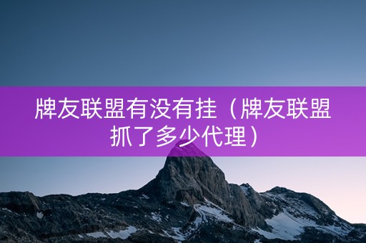 牌友联盟有没有挂（牌友联盟抓了多少代理）