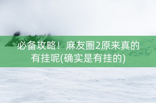 必备攻略！麻友圈2原来真的有挂呢(确实是有挂的)