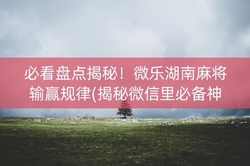 必看盘点揭秘！微乐湖南麻将输赢规律(揭秘微信里必备神器)