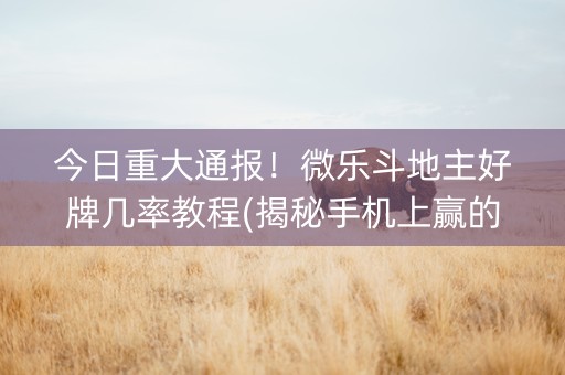 今日重大通报！微乐斗地主好牌几率教程(揭秘手机上赢的诀窍)