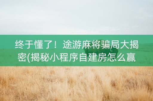 终于懂了！途游麻将骗局大揭密(揭秘小程序自建房怎么赢)