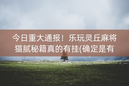 今日重大通报！乐玩灵丘麻将猫腻秘籍真的有挂(确定是有挂)