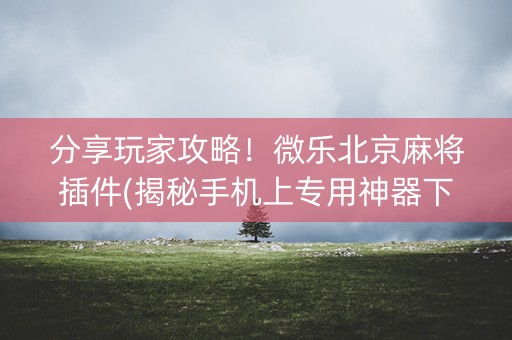 分享玩家攻略！微乐北京麻将插件(揭秘手机上专用神器下载)