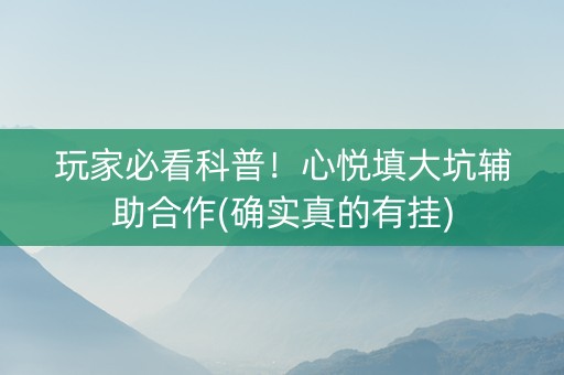 玩家必看科普！心悦填大坑辅助合作(确实真的有挂)