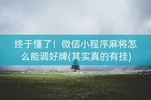 终于懂了！微信小程序麻将怎么能调好牌(其实真的有挂)
