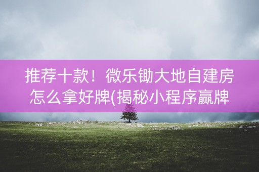推荐十款！微乐锄大地自建房怎么拿好牌(揭秘小程序赢牌的技巧)