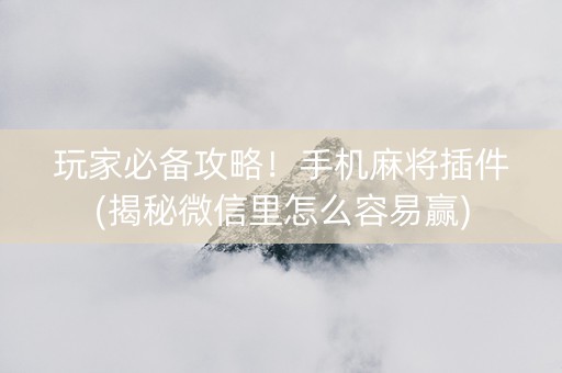 玩家必备攻略！手机麻将插件(揭秘微信里怎么容易赢)