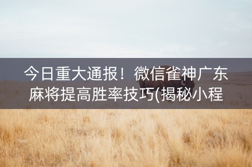 今日重大通报！微信雀神广东麻将提高胜率技巧(揭秘小程序助赢软件)