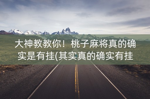 大神教教你！桃子麻将真的确实是有挂(其实真的确实有挂)