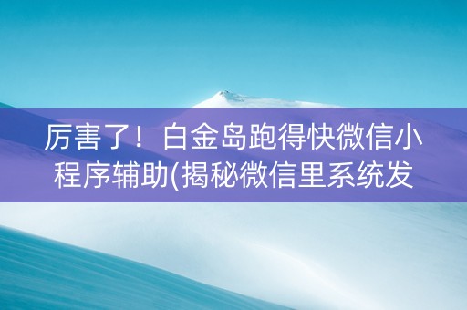 厉害了！白金岛跑得快微信小程序辅助(揭秘微信里系统发好牌)