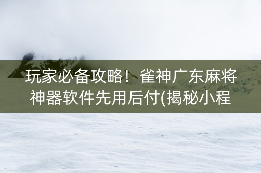 玩家必备攻略！雀神广东麻将神器软件先用后付(揭秘小程序助赢软件)