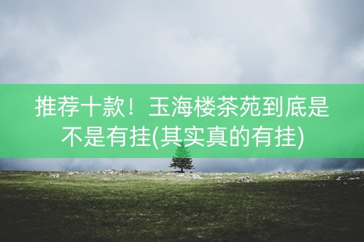 推荐十款！玉海楼茶苑到底是不是有挂(其实真的有挂)