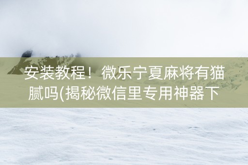 安装教程！微乐宁夏麻将有猫腻吗(揭秘微信里专用神器下载)