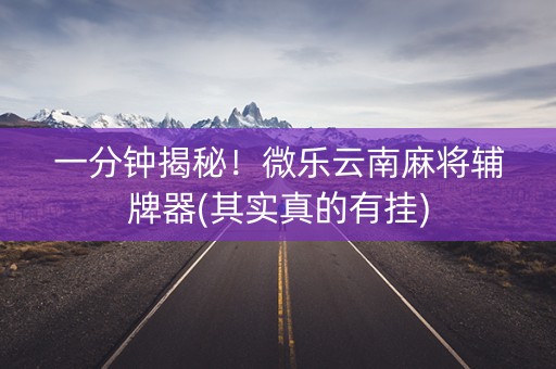 一分钟揭秘！微乐云南麻将辅牌器(其实真的有挂)